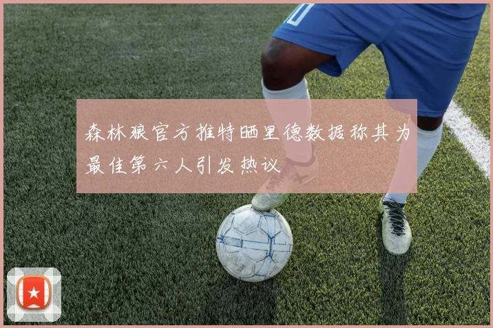 森林狼官方推特晒里德数据称其为最佳第六人引发热议