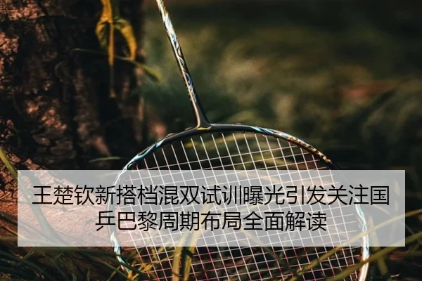 王楚钦新搭档混双试训曝光引发关注国乒巴黎周期布局全面解读